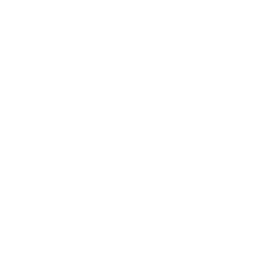 DS&H